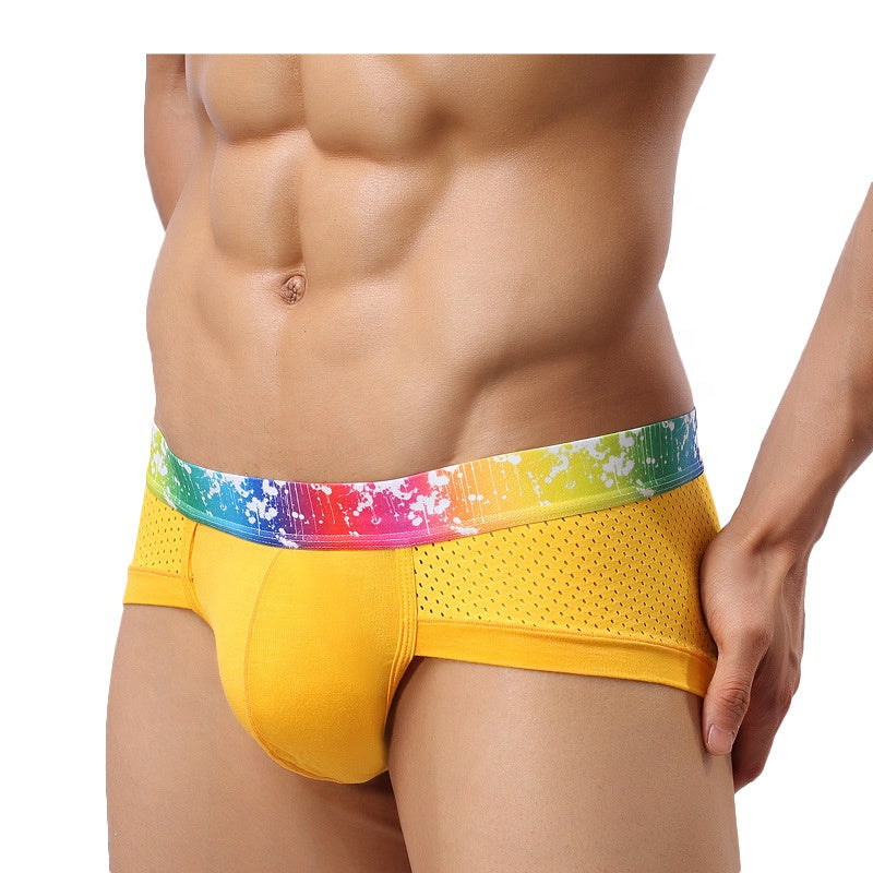 x Mens Shorts Modal Mesh Sexy Briefs Underpants Boxer Plus Size Man Brief