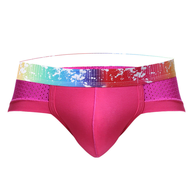 x Mens Shorts Modal Mesh Sexy Briefs Underpants Boxer Plus Size Man Brief