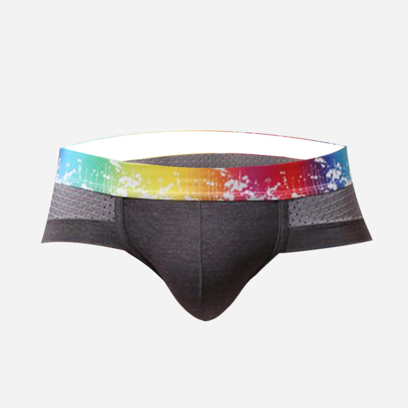 x Mens Shorts Modal Mesh Sexy Briefs Underpants Boxer Plus Size Man Brief