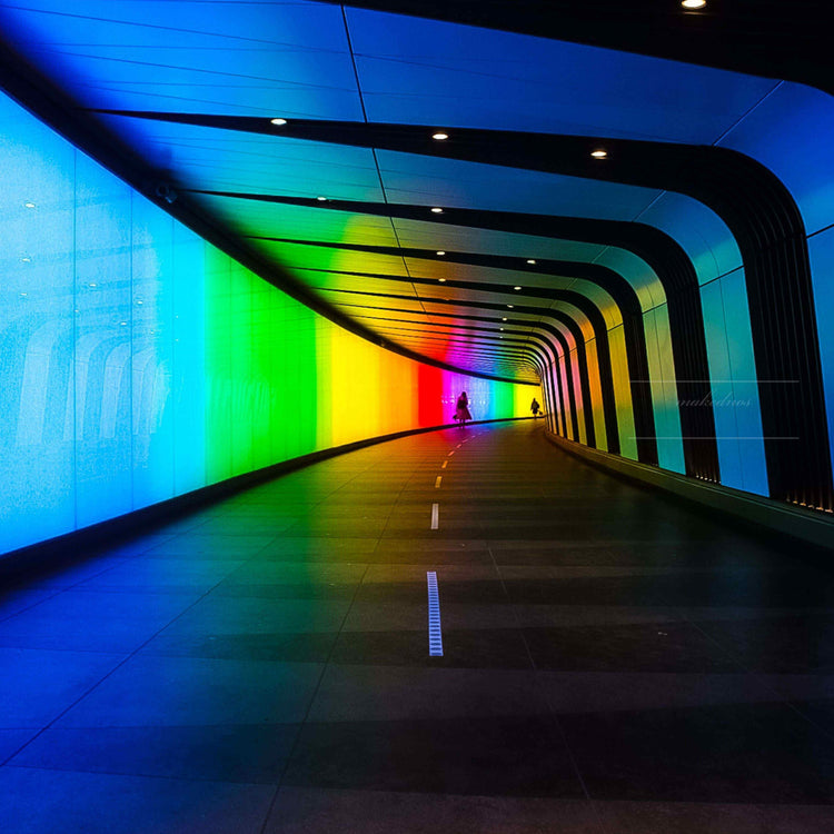 Rainbow Collection – Colourful Fashion & Accessories