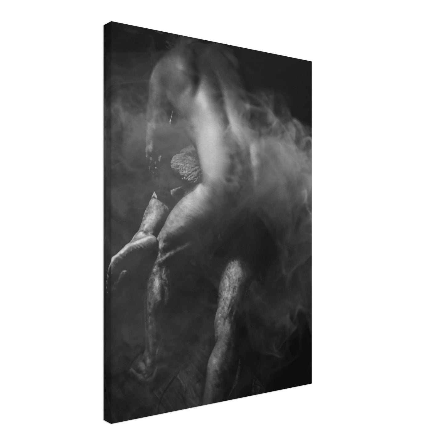 Artwork Canvas mens action