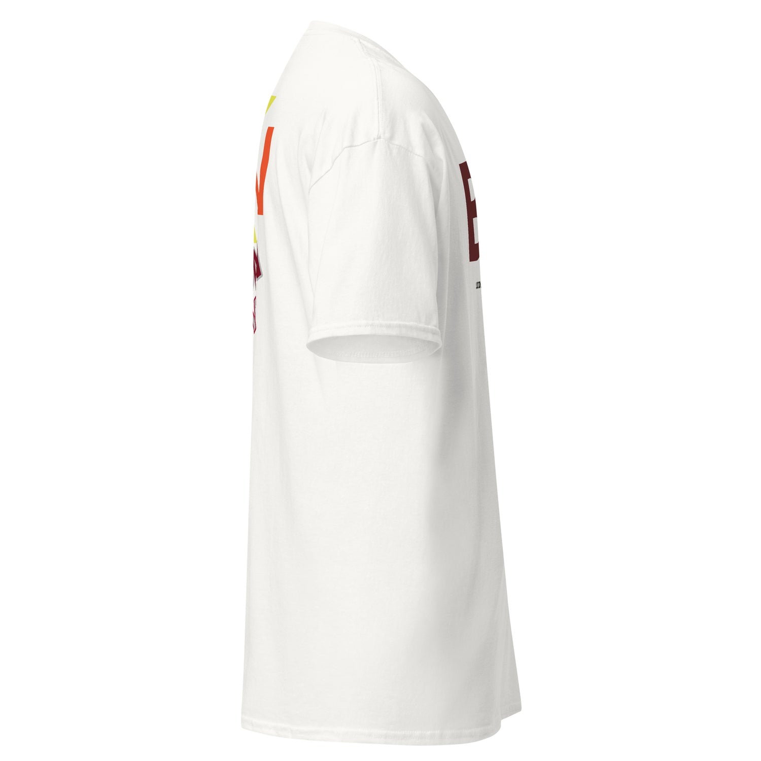 Unisex Classic Tee Brixton