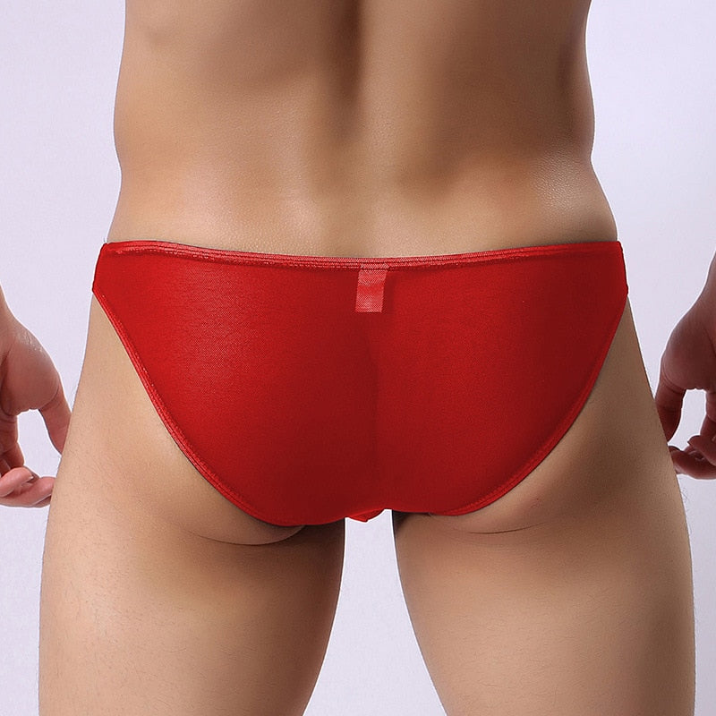 x mens Seamless Briefs Shorts Man Ice Silk Low Waist Panties Solid